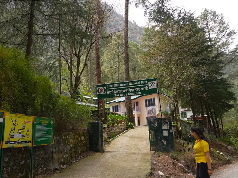 Trekkers walking in Great Himalayan National Park Tirthan forest trail
